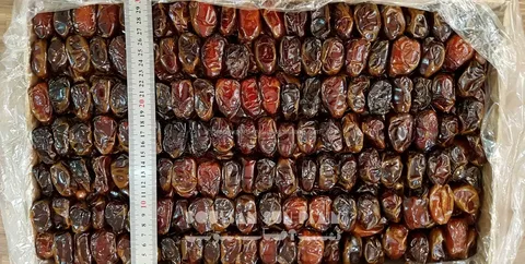 خرما مضافتی اصیل کرمان با خاستگاه اقلیمی ریشه دار و کیفیت رقابتی